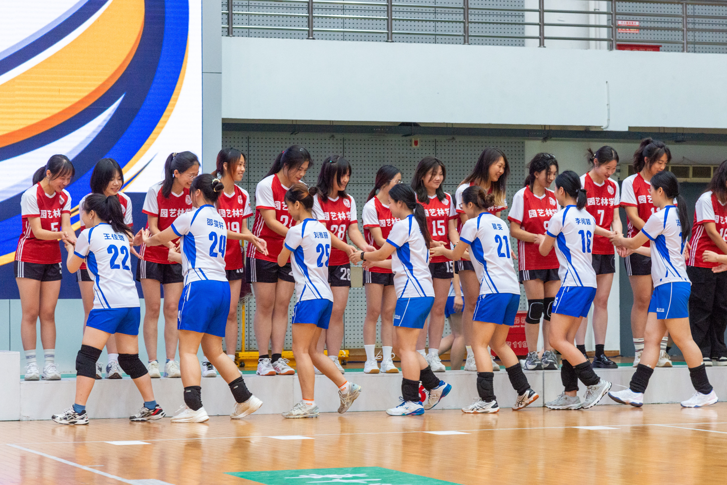 颁奖仪式bevictor女子排球队与园艺林学公司女子排球队握手致意(学通社记者 魏雨城 摄)