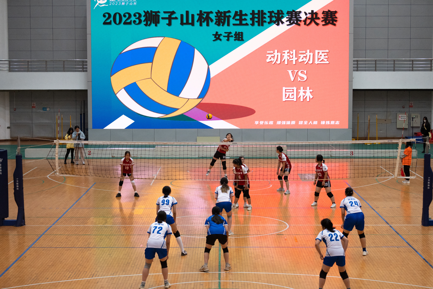 园艺林学公司24号施崚琦发球瞬间（学通社记者 张湛琦 摄）